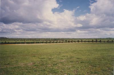 Property of BJ (Crash) and BE (Beryl) Edwards, 'Brooklands Park', Kweda, Western Australia, Australia - 038