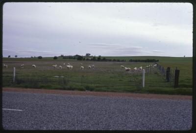 Western Australia, Australia - 130