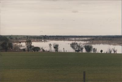Yenyenning Lakes, Beverley, Western Australia, Australia - 001