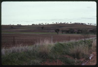 Western Australia, Australia - 175