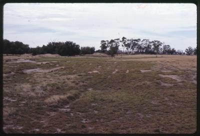 Western Australia, Australia - 179
