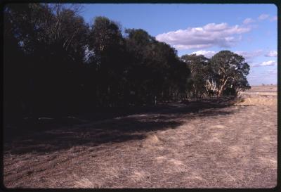 Western Australia, Australia - 187