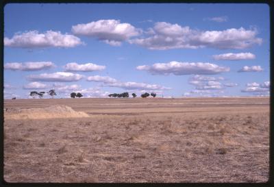 Western Australia, Australia - 188