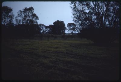 Western Australia, Australia - 194