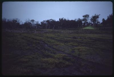 Western Australia, Australia - 195