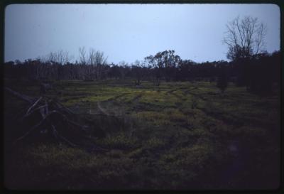 Western Australia, Australia - 196