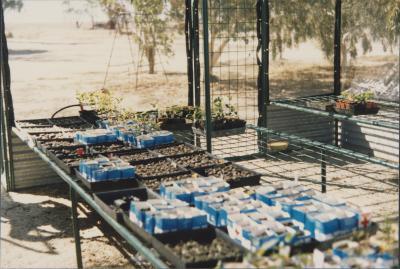 Dowerin, Western Australia, Australia - 001