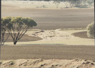 Wickepin, Western Australia, Australia
