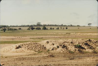 Old Goldfields Road, Western Australia, Australia - 002