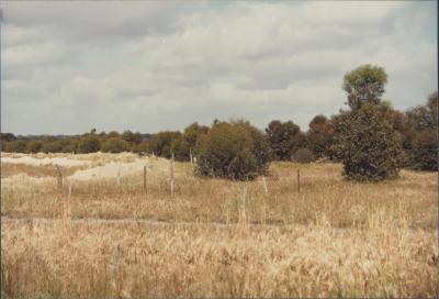 Broomehill, Western Australia, Australia