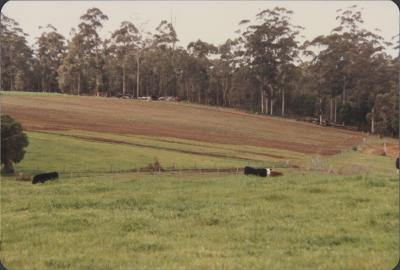 Manjimup, Western Australia, Australia