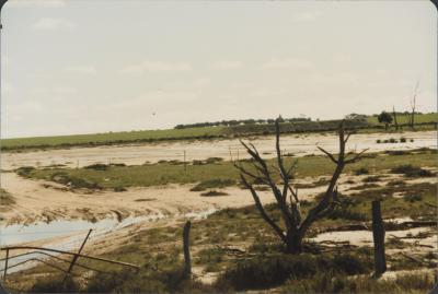 Doodenanning Road, Doodenanning, Western Australia, Australia