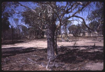 Western Australia, Australia - 170