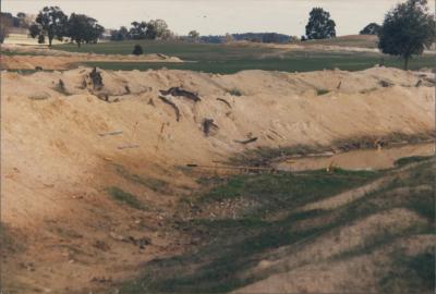 WISALTS Trial Site at Property of AJ (Lex) Hardie, Aliana Grazing Company, Narrogin, Western Australia, Australia - 001