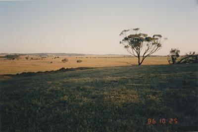 Property of HS (Harry) Whittington, 'Springhill', Brookton, Western Australia, Australia - 063