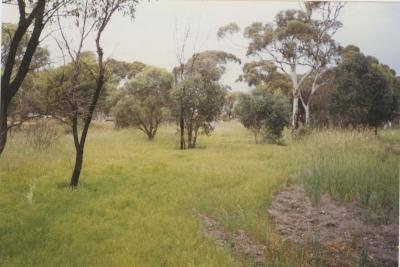 Property of HS (Harry) Whittington, 'Springhill', Brookton, Western Australia, Australia - 057