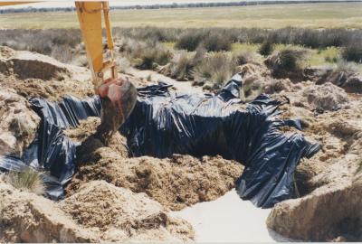 Property of HS (Harry) Whittington, 'Springhill', Brookton, Western Australia, Australia - 054