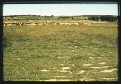 Property of HS (Harry) Whittington, 'Springhill', Brookton, Western Australia, Australia - 011