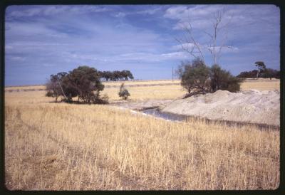 Property of HS (Harry) Whittington, 'Springhill', Brookton, Western Australia, Australia - 014