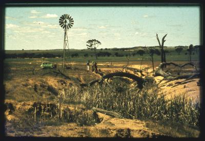 Property of HS (Harry) Whittington, 'Springhill', Brookton, Western Australia, Australia - 015