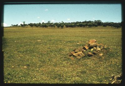 Property of HS (Harry) Whittington, 'Springhill', Brookton, Western Australia, Australia - 004