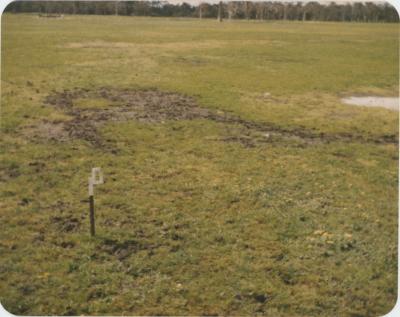 WISALTS Trial Site at Property of JW (Jim) Erskine, Denbarker, Western Australia, Australia - 029