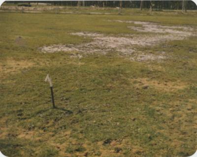 WISALTS Trial Site at Property of JW (Jim) Erskine, Denbarker, Western Australia, Australia - 025
