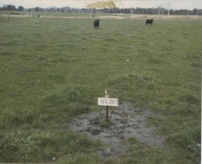 WISALTS Trial Site at Property of JW (Jim) Erskine, Denbarker, Western Australia, Australia - 019