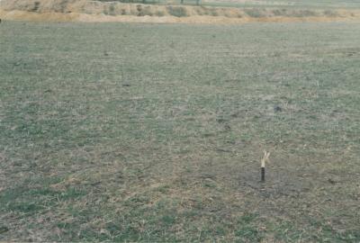 WISALTS Trial Site at Property of JW (Jim) Erskine, Denbarker, Western Australia, Australia - 017