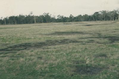 WISALTS Trial Site at Property of JW (Jim) Erskine, Denbarker, Western Australia, Australia - 016