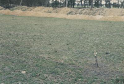 WISALTS Trial Site at Property of JW (Jim) Erskine, Denbarker, Western Australia, Australia - 014