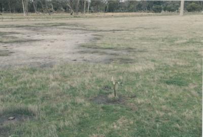 WISALTS Trial Site at Property of JW (Jim) Erskine, Denbarker, Western Australia, Australia - 013