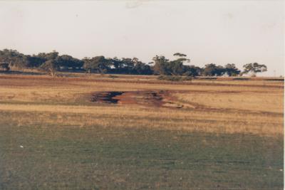Three Springs, Western Australia, Australia - 002