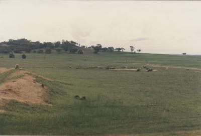 Property of HS (Harry) Whittington, 'Springhill', Brookton, Western Australia, Australia - 069