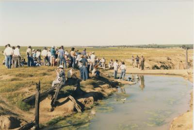 WISALTS Field Day at Property of HS (Harry) Whittington, 'Springhill', Brookton, Western Australia, Australia - 005