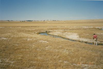 Property of HS (Harry) Whittington, 'Springhill', Brookton, Western Australia, Australia - 067