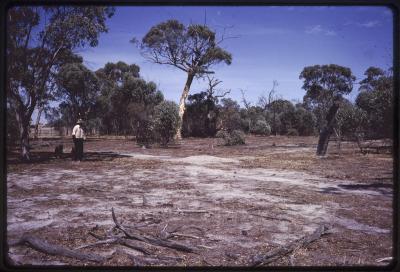 Springhill Reserve, Boyagarra Road, Brookton, Western Australia, Australia - 001