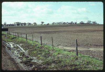 Property of Yeo, Western Australia, Australia