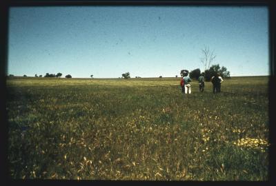 Property of HS (Harry) Whittington, 'Springhill', Brookton, Western Australia, Australia - 016