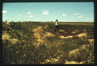 Property of HS (Harry) Whittington, 'Springhill', Brookton, Western Australia, Australia - 017