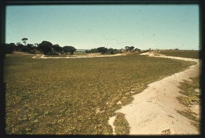 Property of HS (Harry) Whittington, 'Springhill', Brookton, Western Australia, Australia - 019