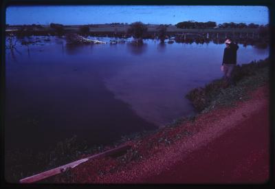 Western Australia, Australia - 210