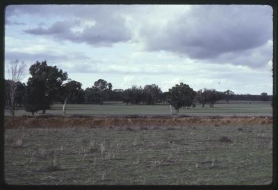 Property of HJ (Bert) Henderson, Perillup, Western Australia, Australia - 009