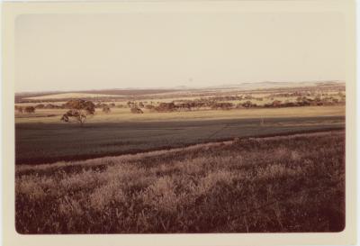 Property of HS (Harry) Whittington, 'Springhill', Brookton, Western Australia, Australia - 047