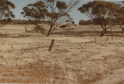 Property of HS (Harry) Whittington, 'Allendale', Brookton, Western Australia, Australia - 006