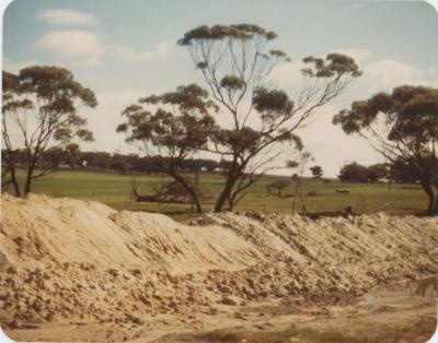 Property of HS (Harry) Whittington, 'Allendale', Brookton, Western Australia, Australia - 004