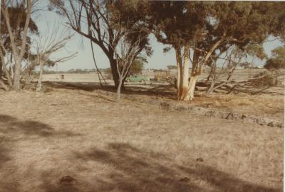 Property of HS (Harry) Whittington, 'Allendale', Brookton, Western Australia, Australia - 002