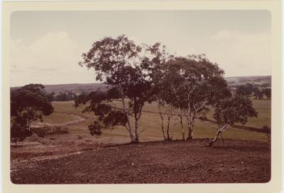 Property of HS (Harry) Whittington, 'Springhill', Brookton, Western Australia, Australia - 049