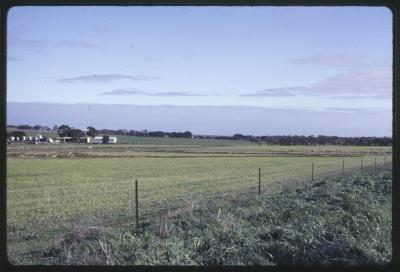 Property of HS (Harry) Whittington, 'Springhill', Brookton, Western Australia, Australia - 022