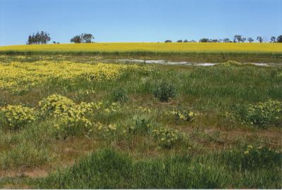 Property of TJO (Tim) and SA (Steph) Stevenson, 'Kaula Dale', Jingalup, Western Australia, Australia - 001